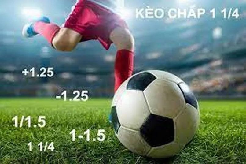 Kinh nghiệm soi kèo chấp ¼ từ các chuyên gia hàng đầu